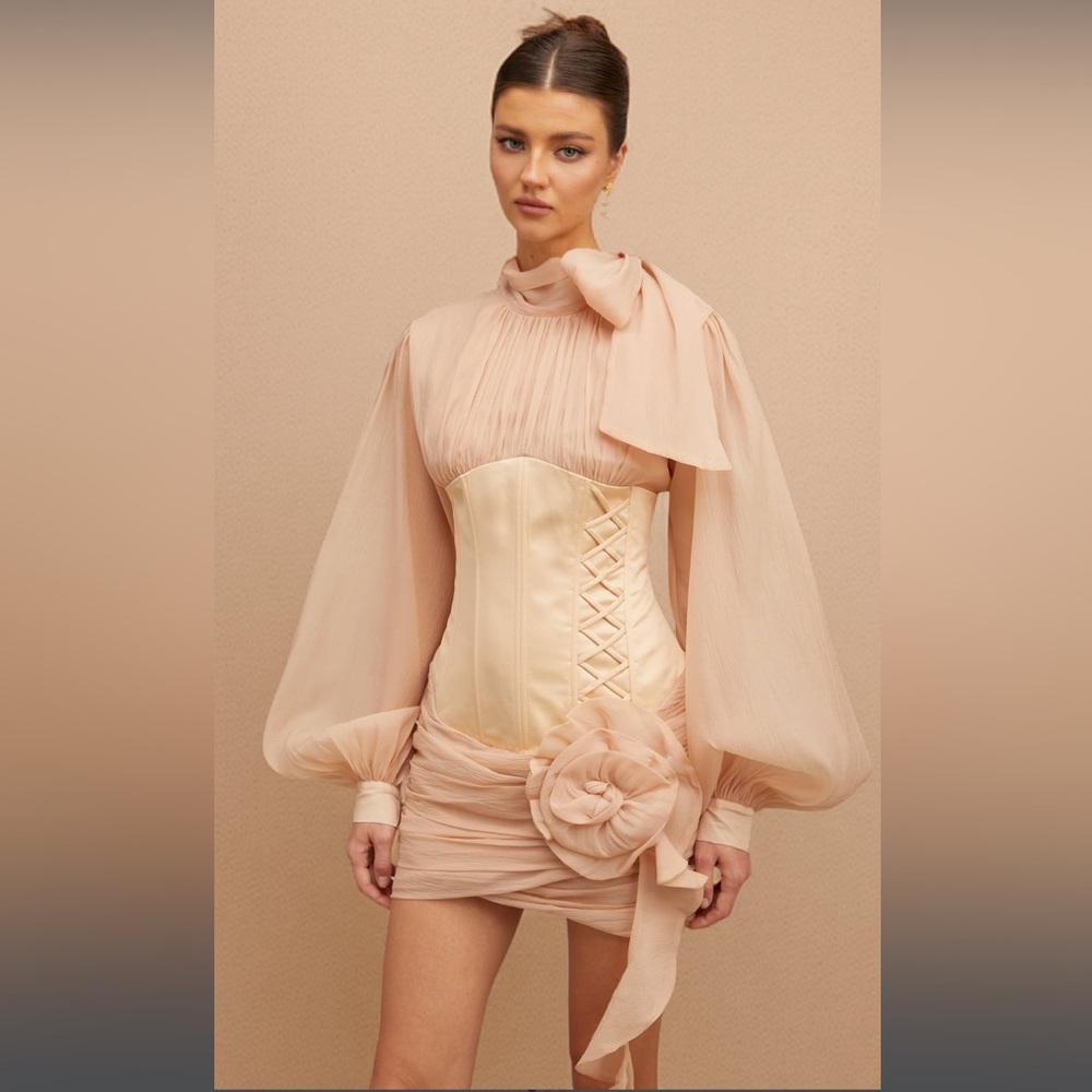 Silk-Blush Long Sleeve Puff Mini Dress with Corset Waist